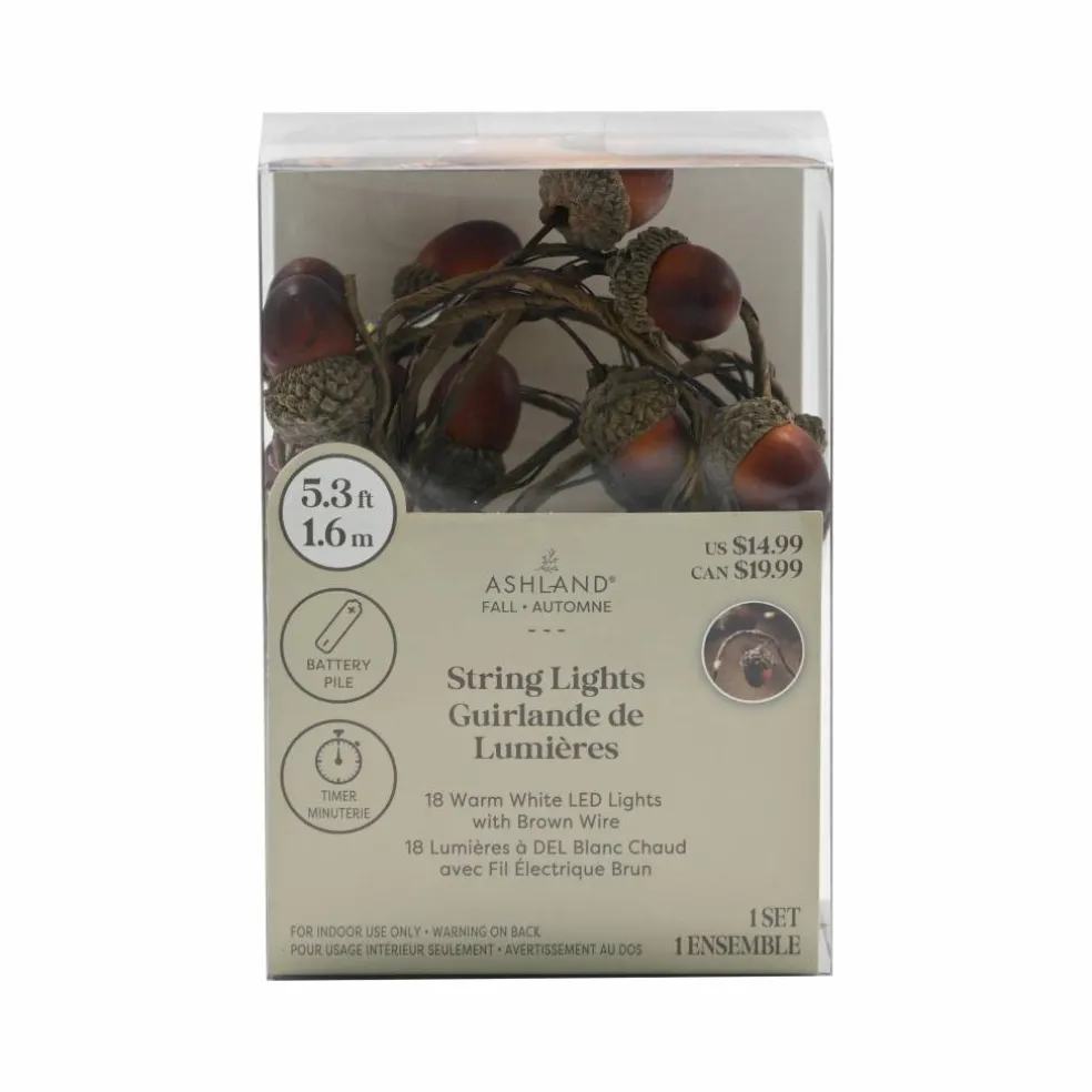 18ct. Acorns LED String Lights by Ashland®