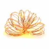 50ct. Amber LED String Lights by Ashland®