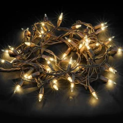 50ct. Creative Collection™ Shimmer Lights Grapevine by Ashland™