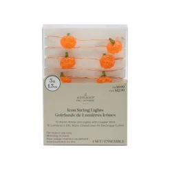 12ct. Pumpkins Icon LED String Lights by Ashland®