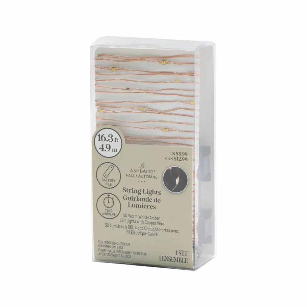 50ct. Warm White & Amber LED String Lights by Ashland®