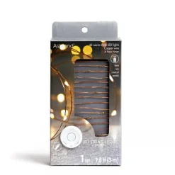 40ct. Warm White Copper Wire LED String Lights by Ashland®
