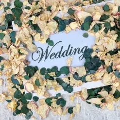 20+ Cups of Mix Dried Bio Flower Rose Petals Confetti, 2 QT Ivory White Roses & Eucalyptus Leaves, Real Petals for Wedding Parties Romantic Gifts