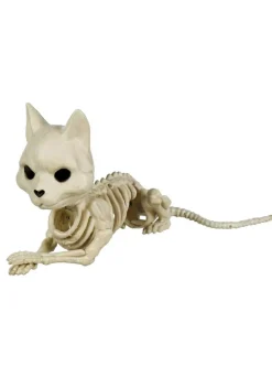 Cute Skeleton Cat Prop