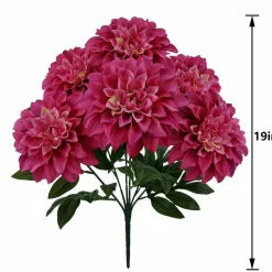 19
