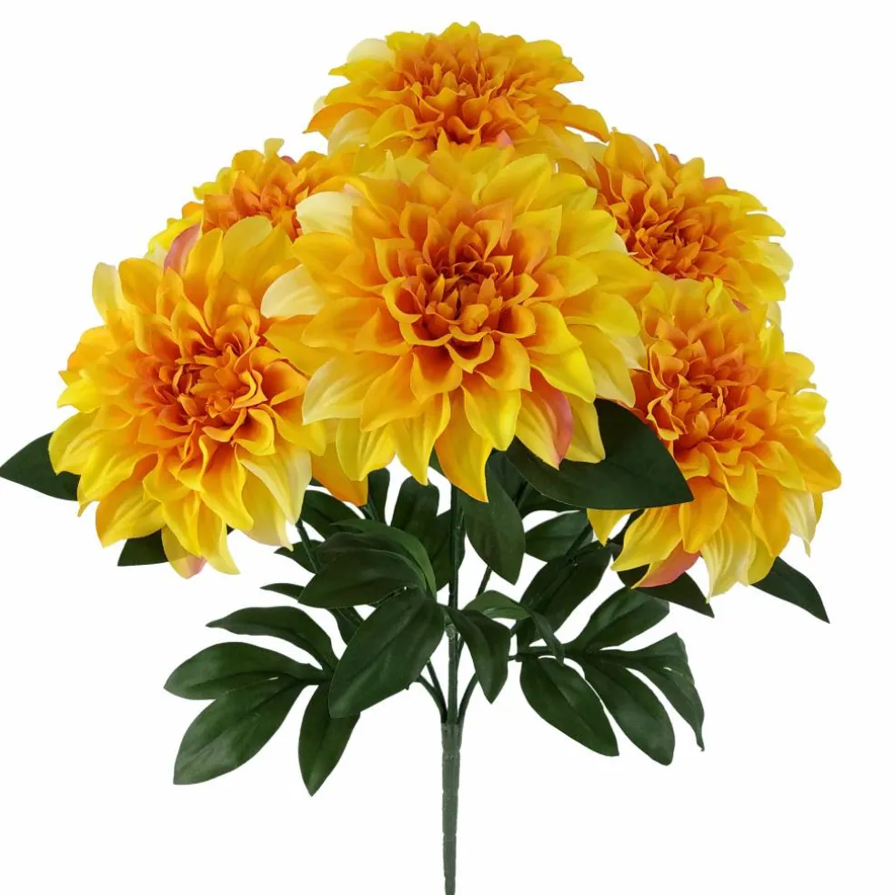 19" Dahlia Bush by Ashland®