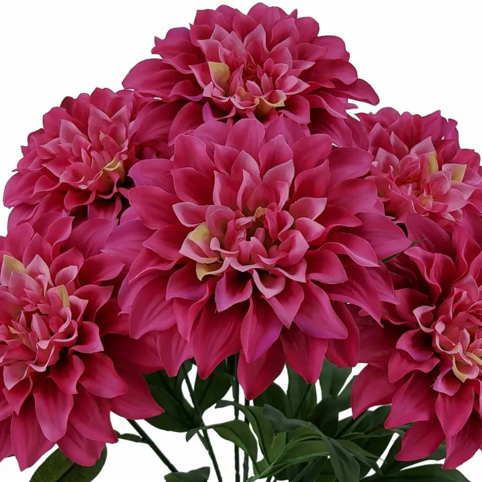 19" Dahlia Bush by Ashland®