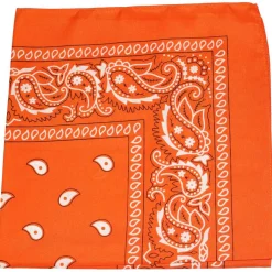 Daily Basic 100% Cotton X-Large Paisley Double Sided Printed Bandana