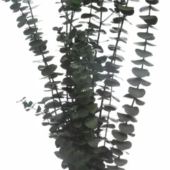 Dark Green Dried Eucalyptus Bundle by Ashland®