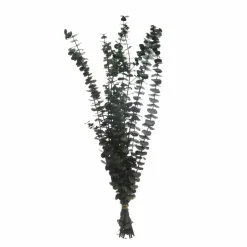 Dark Green Dried Eucalyptus Bundle by Ashland®