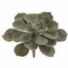 6" Dark Green Echeveria Pick by Ashland®