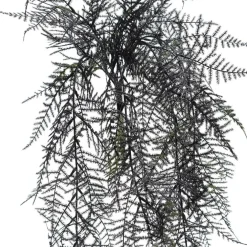 24" Dark Green Hanging Fern Bush by Ashland®