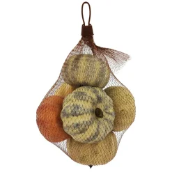 Decorative Pumpkins, 6ct. by Ashland®