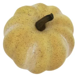 Decorative Pumpkins, 6ct. by Ashland®