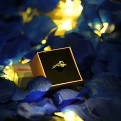 Deep Blue Rose Flower Petals,2500 Pcs Fake Royal Blue Rose Petals for Romantic Night for Him Set,2.3'' Rose Petals for Decorations
