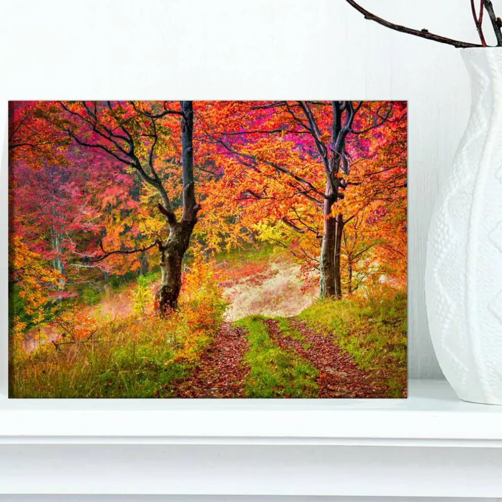 Designart - Bright Colorful Fall Trees in Forest - Large Landscape Canvas Art Print