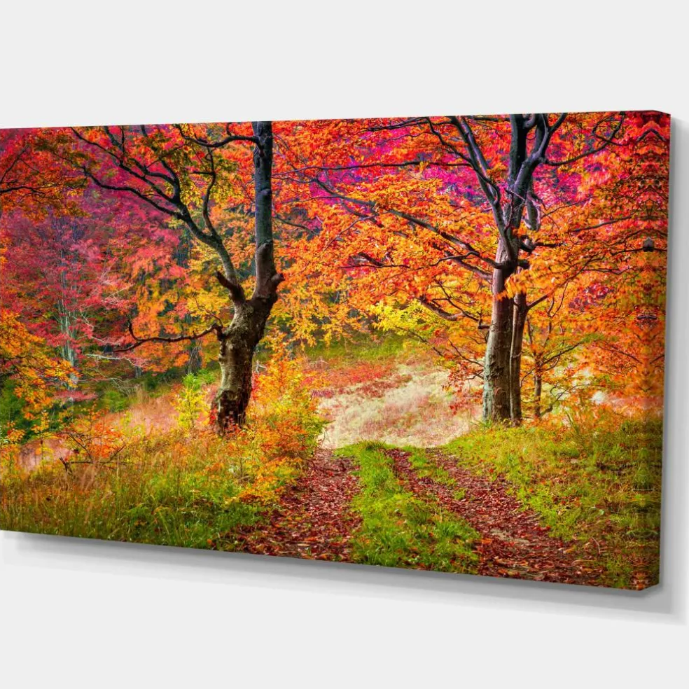 Designart - Bright Colorful Fall Trees in Forest - Large Landscape Canvas Art Print
