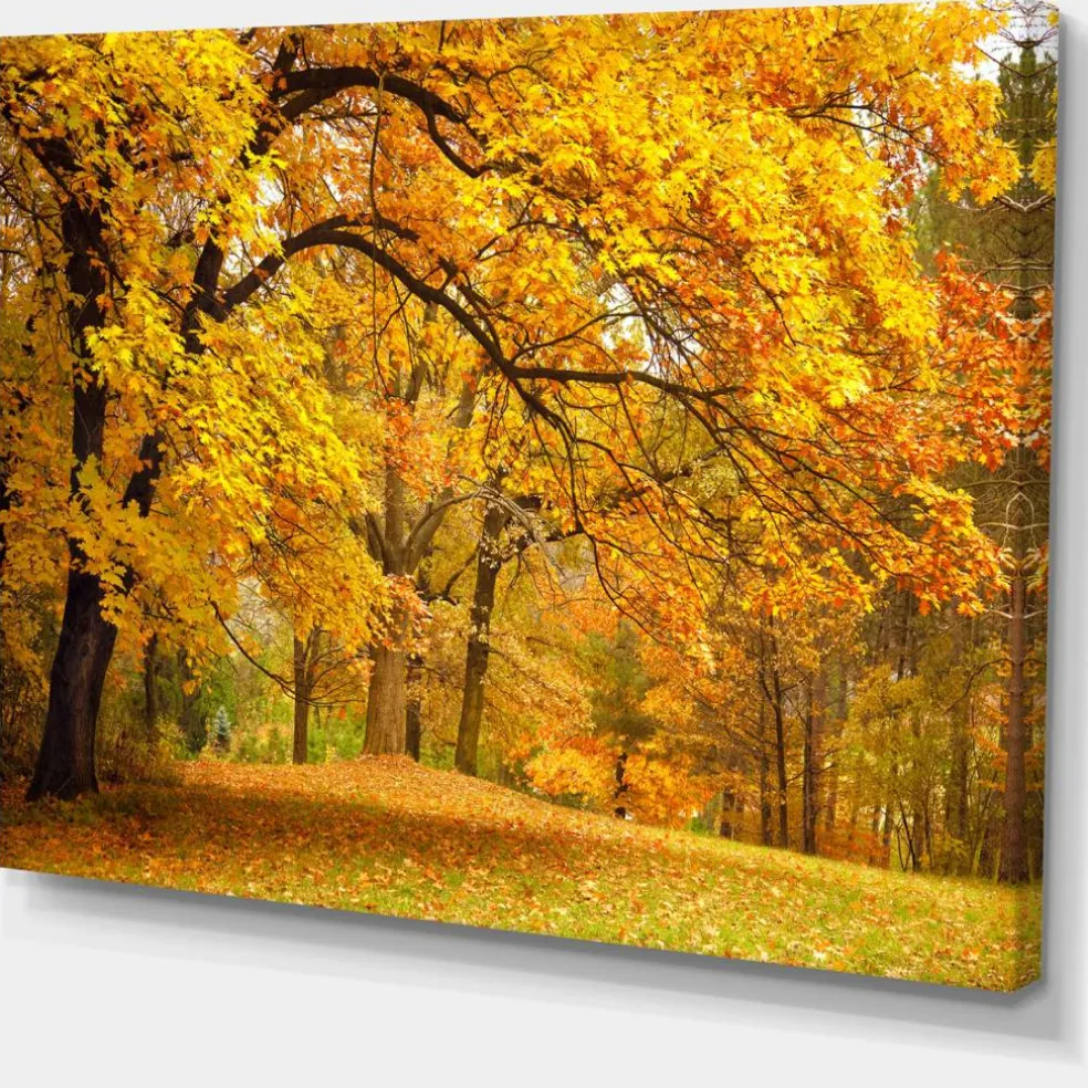 Designart - Golden Autumn Forest - Landscape Photography Canvas Print