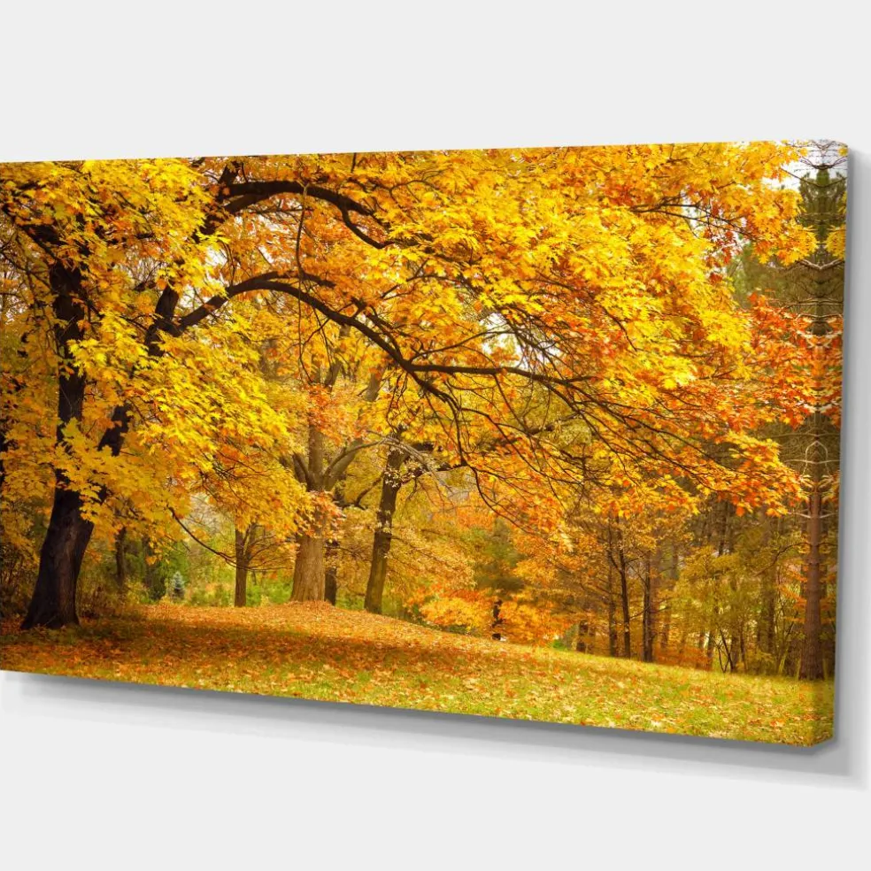 Designart - Golden Autumn Forest - Landscape Photography Canvas Print