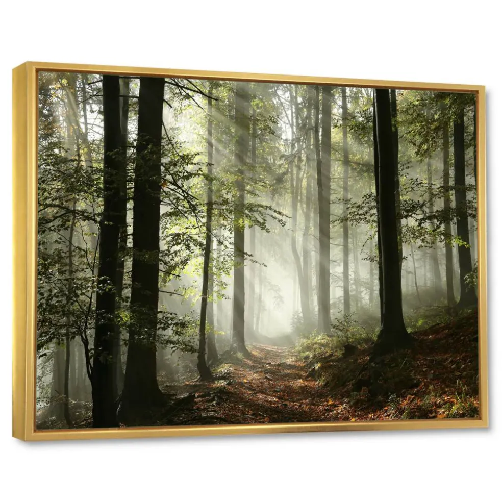 Designart - Light in Dense Fall Forest with Fog - Landscape Art Print Framed Canvas