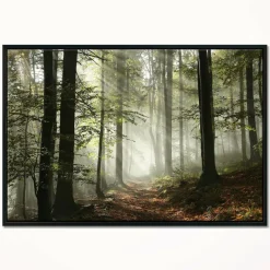 Designart - Light in Dense Fall Forest with Fog - Landscape Art Print Framed Canvas