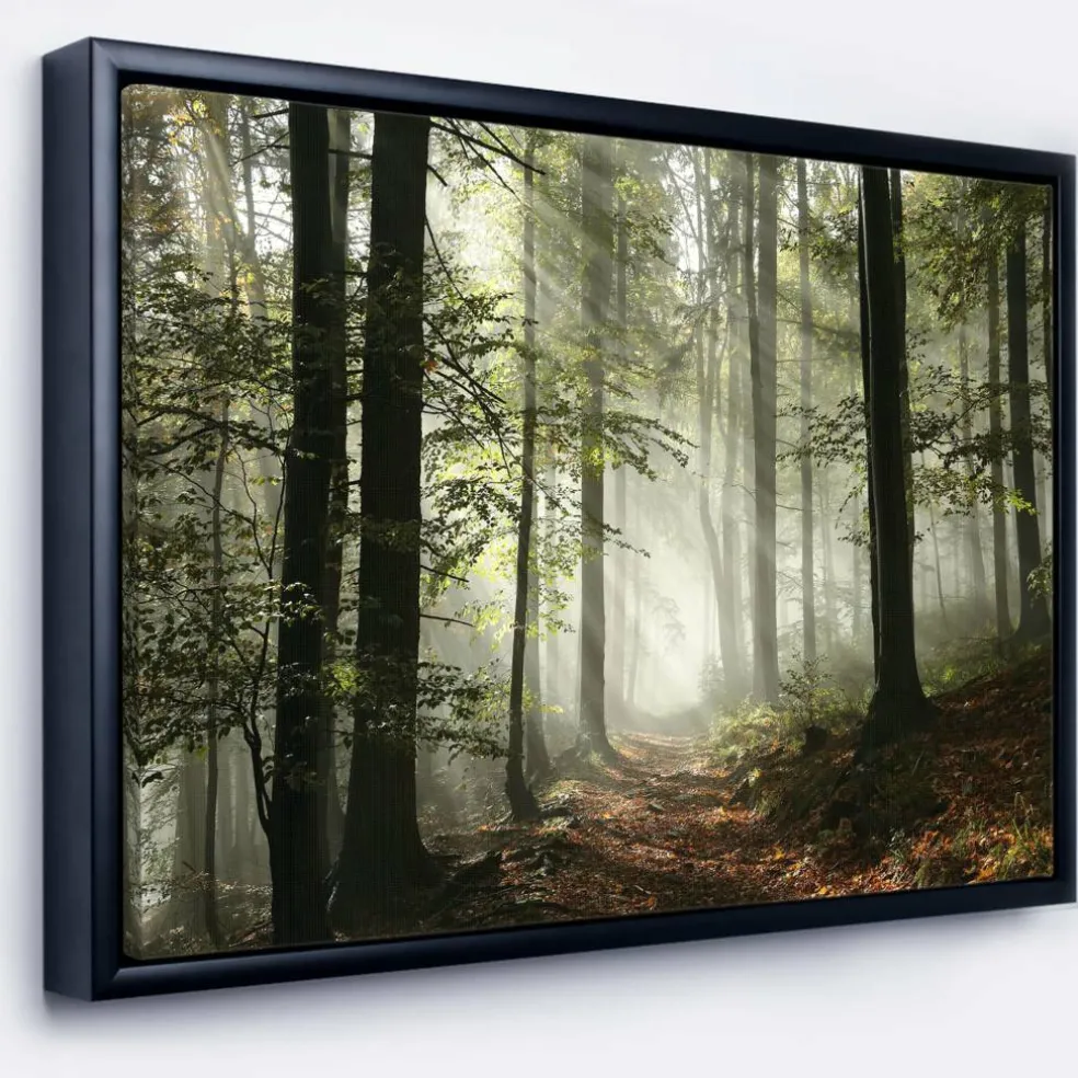 Designart - Light in Dense Fall Forest with Fog - Landscape Art Print Framed Canvas