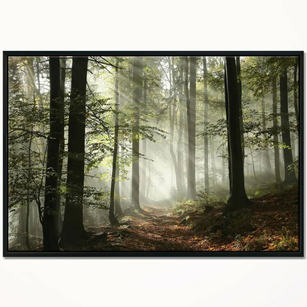 Designart - Light in Dense Fall Forest with Fog - Landscape Art Print Framed Canvas