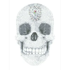 Diamond DotzĀ® Crystal Skull Diamond Painting Kit