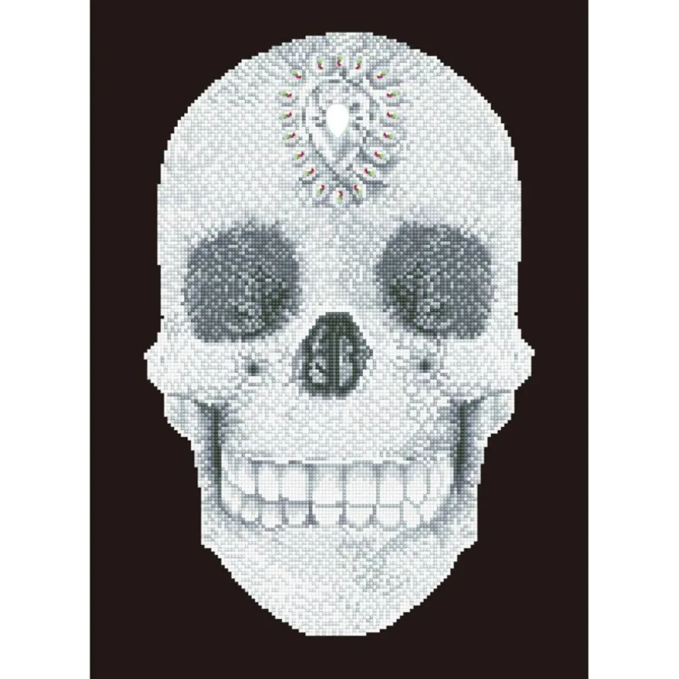Diamond Dotz® Crystal Skull Diamond Painting Kit