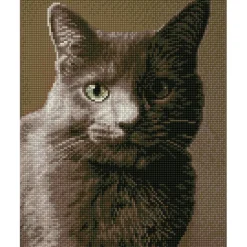 Diamond Dotz® Intermediate Smokey Diamond Painting Kit