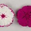 Dianthus Flower Icing Cake Decorations – Sugar Flower Toppers 3 Count