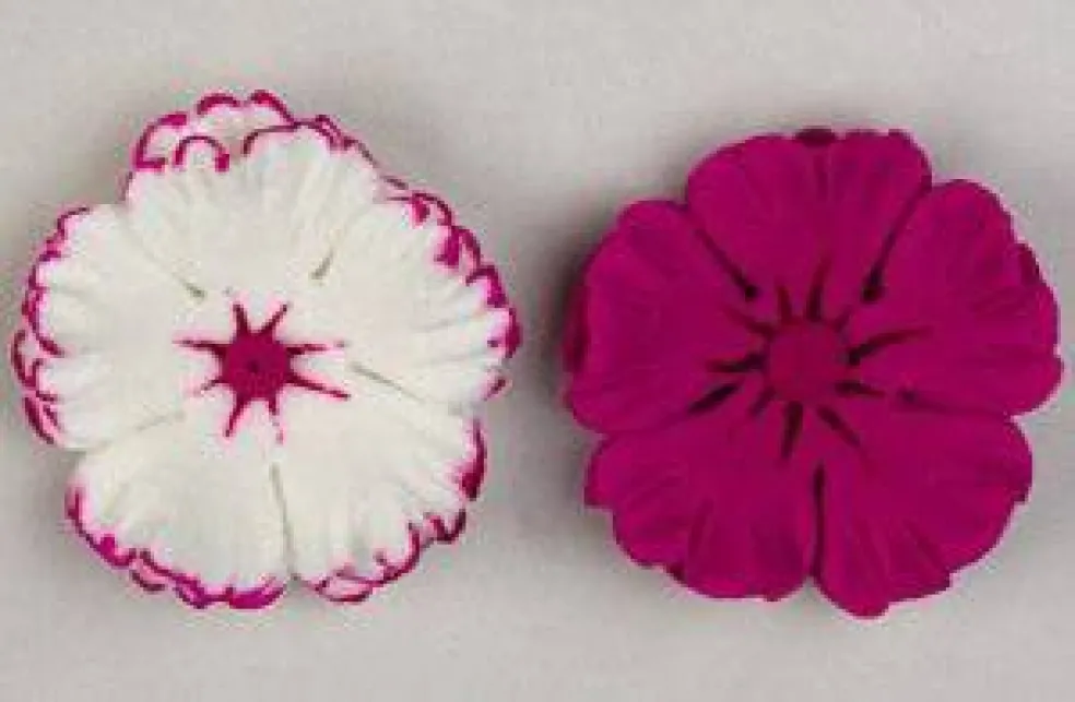 Dianthus Flower Icing Cake Decorations – Sugar Flower Toppers 3 Count