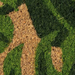 DII® J&M Palm Leaves Vinyl Back Coir Doormat
