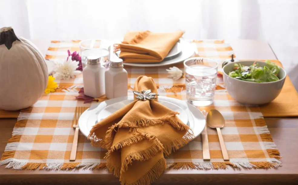 DII® Pumpkin Spice Heavyweight Check Fringed Placemat Set