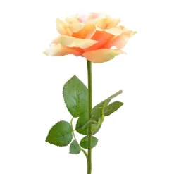 DII® Yellow Flower Open Rose Set, 6ct.