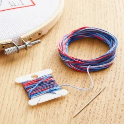 DMC® Coloris Embroidery Thread