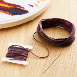 DMC® Coloris Embroidery Thread