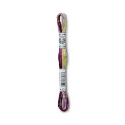 DMC® Coloris Embroidery Thread