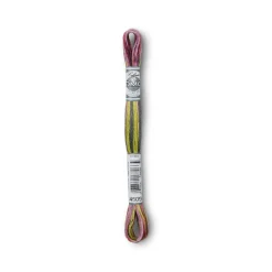 DMC® Coloris Embroidery Thread