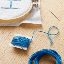 DMC® 6 Strand Embroidery Floss, Blue
