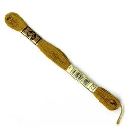 DMC® 6 Strand Embroidery Floss, Brown