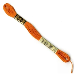 DMC® 6 Strand Embroidery Floss, Brown