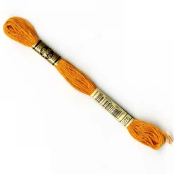 DMC® 6 Strand Embroidery Floss, Brown