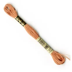 DMC® 6 Strand Embroidery Floss, Brown