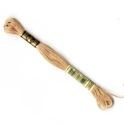 DMC® 6 Strand Embroidery Floss, Brown