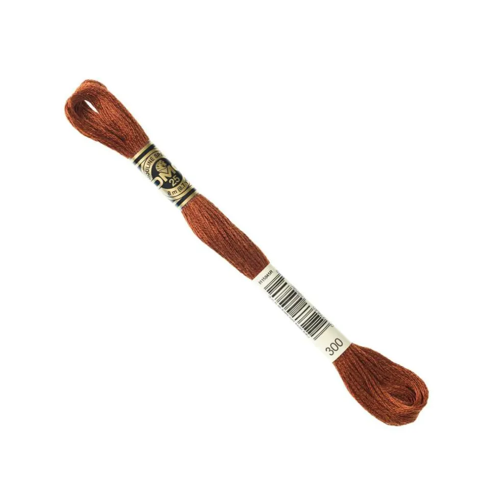 DMC® 6 Strand Embroidery Floss, Brown