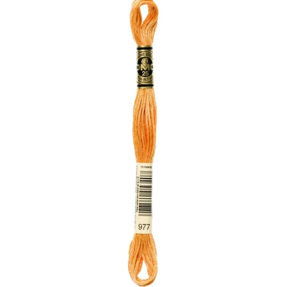 DMC® 6 Strand Embroidery Floss, Brown