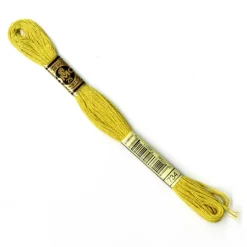 DMC® 6 Strand Embroidery Floss, Muted Green