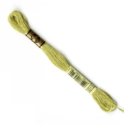 DMC® 6 Strand Embroidery Floss, Muted Green