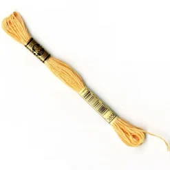 DMC® 6 Strand Embroidery Floss, Orange